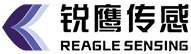 锐鹰传感