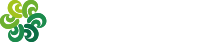佳人新材料