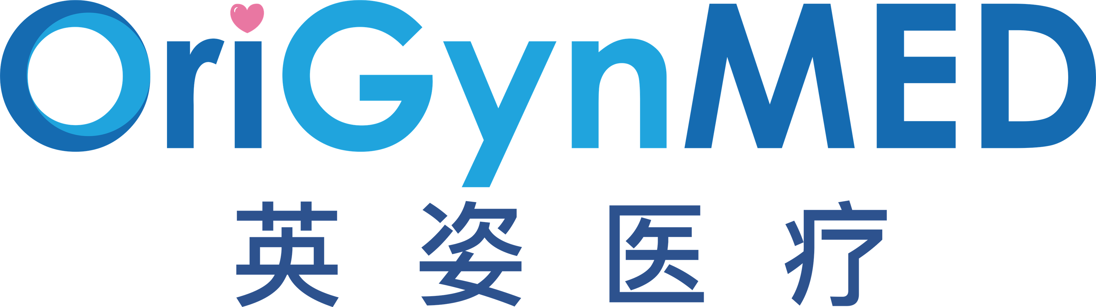 英姿医疗