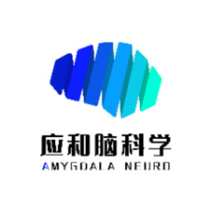 应和脑科学